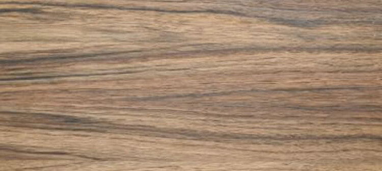 gatunki drewna - Orzech europejski