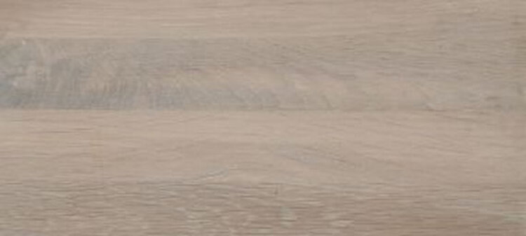 gatunki drewna - Dąb bielony