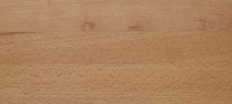 gatunki drewna - Buk